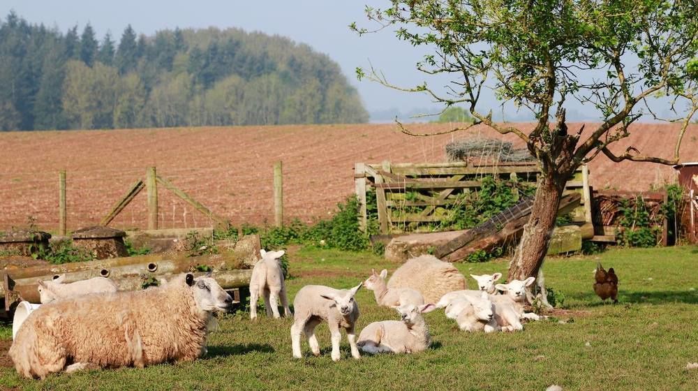 Huntlands Farm Bed & Breakfast Bromyard Exterior foto